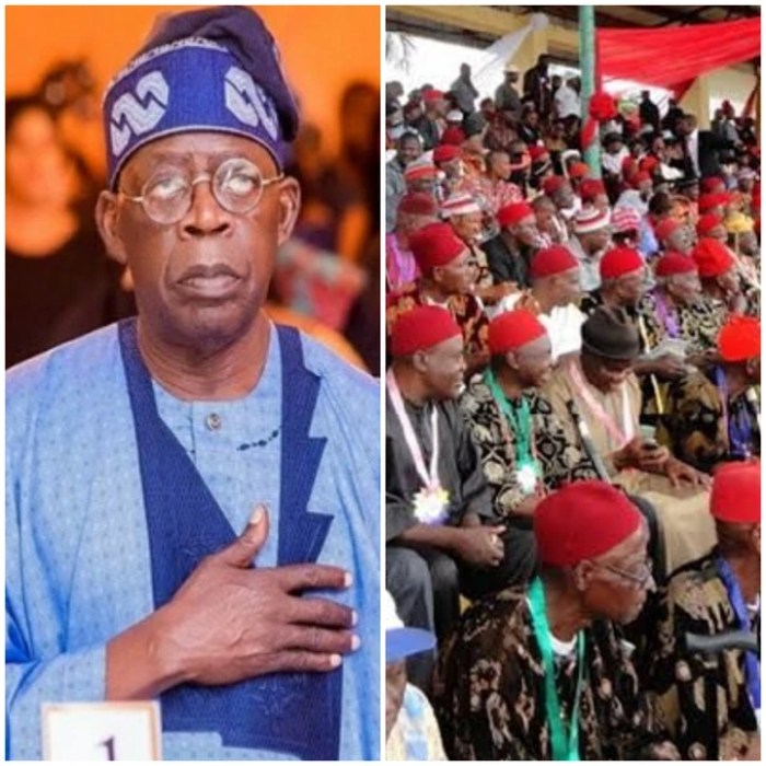 Drop Your Ambition, Back Igbo Presidency – APC Chieftain To Bola Tinubu