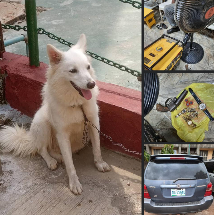 RRS Nab Fleeing Robbers, Recover Dog, Two Kitchen Knives, Others [DETAILS]