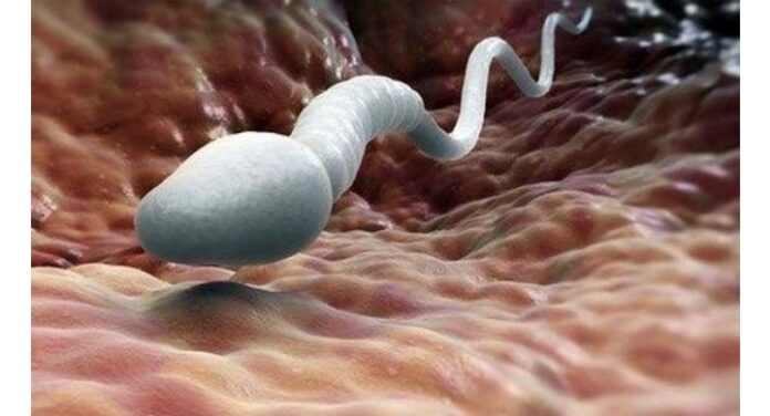3 Things That Can Make Your Sperm Watery.