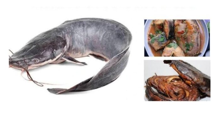 3 Healthy Reasons Why You Should Eat Catfish.
