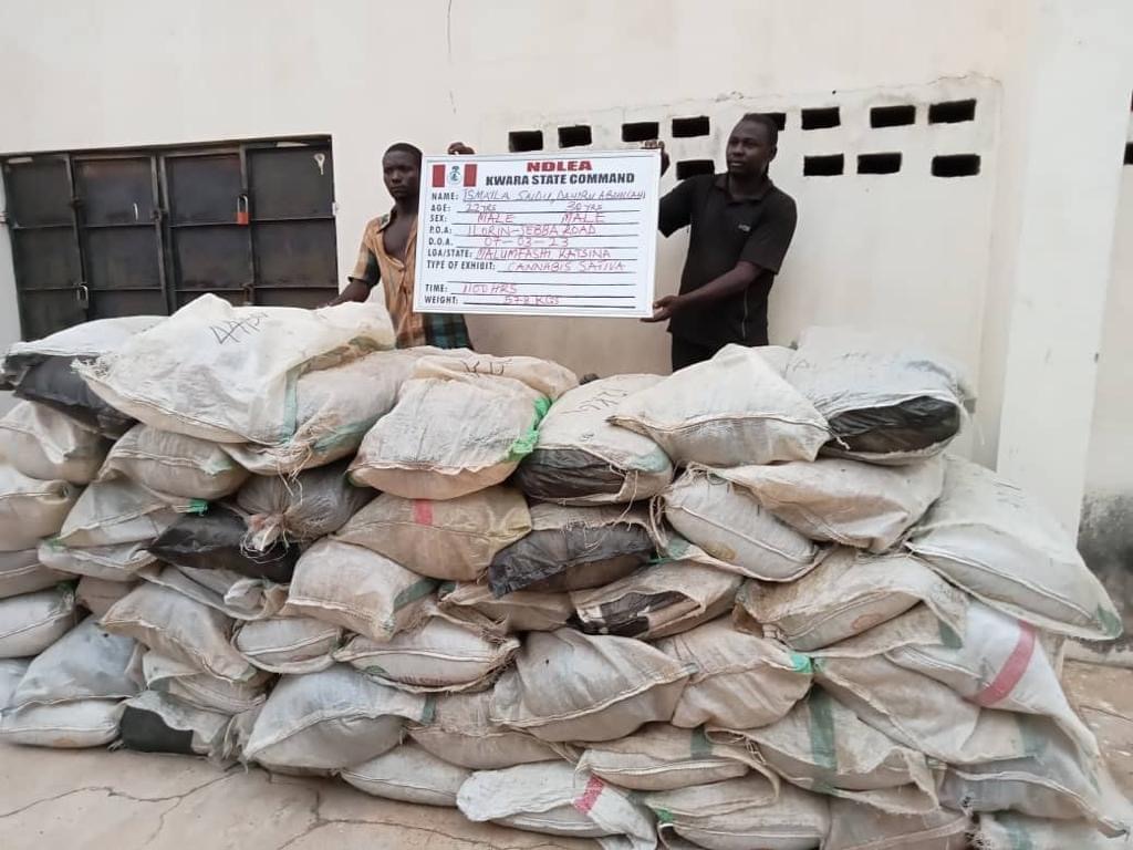 NDLEA Nabs Ex-Boko Haram Fighter, Traditional Ruler, 35 For Drug Trafficking 2 NDLEA Nabs Ex-Boko Haram Fighter, Traditional Ruler, 35 For Drug Trafficking
