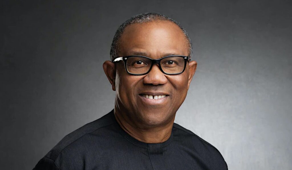 Impersonation: Man Offers To Pay Peter Obi’s Monthly Twitter Subscriptions