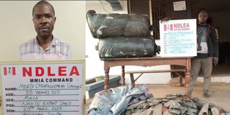 NDLEA Intercepts Drug In Car, Food Items, Arrests Suspect In Lagos State (Photos)
