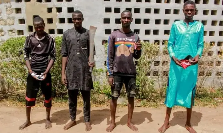 Police Arrests Criminals For Various Crimes In Kano State (Photos)