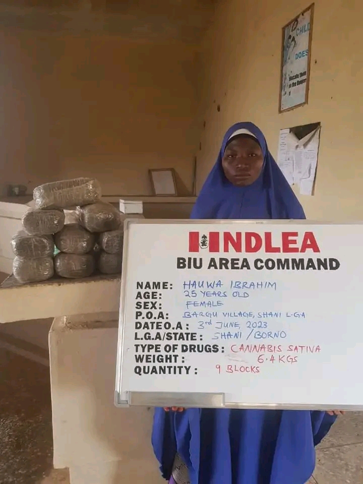 NDLEA Seizes Loud from Canada, Recovers Illicit Drugs in Kano, Kaduna, Borno, Oyo Raids (Photos)