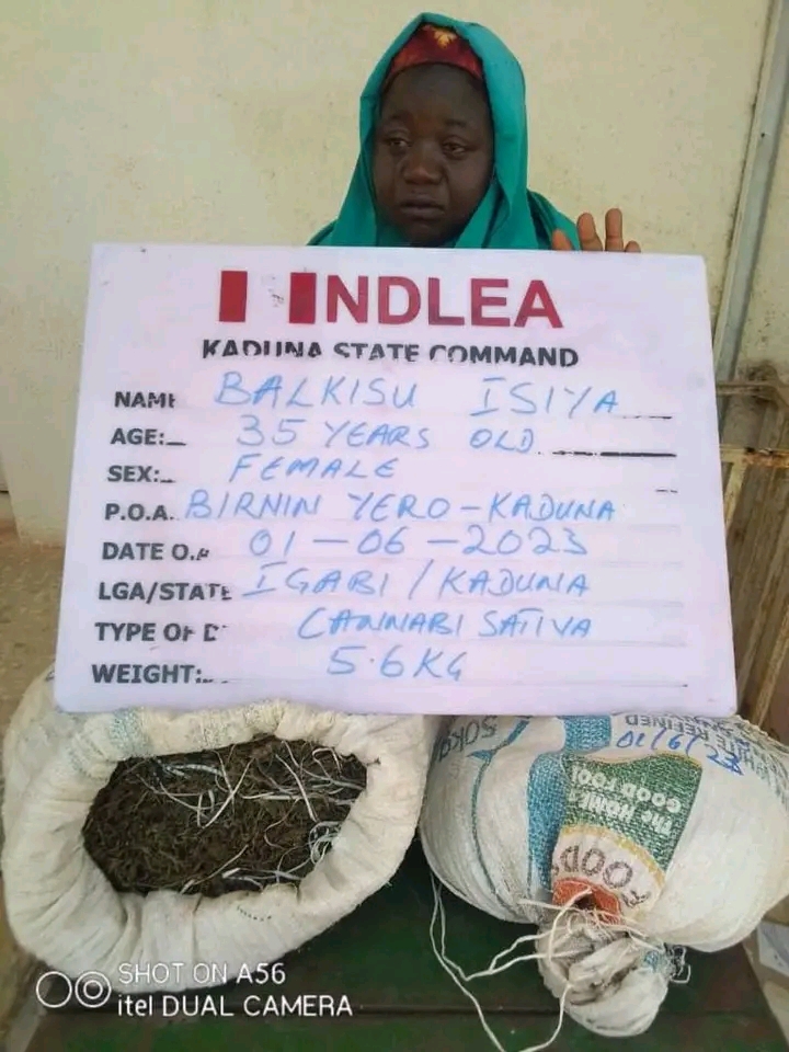 NDLEA Seizes Loud from Canada, Recovers Illicit Drugs in Kano, Kaduna, Borno, Oyo Raids (Photos)