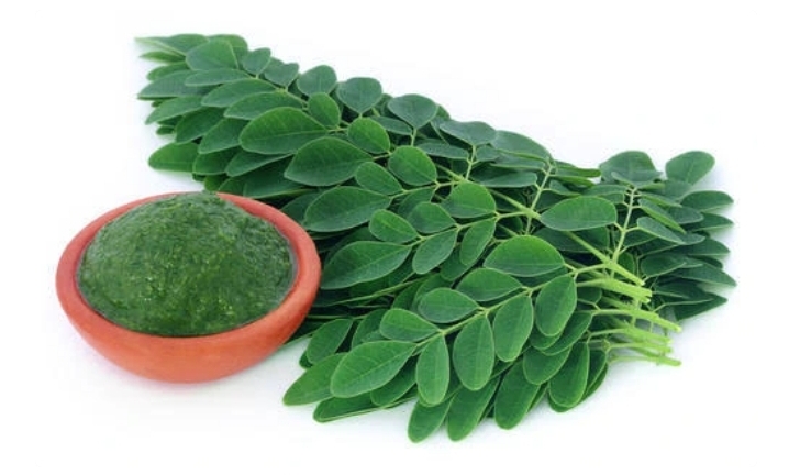 Reasons Why Men Should Take Moringa Leaves Regularly 1 Reasons Why Men Should Take Moringa Leaves Regularly