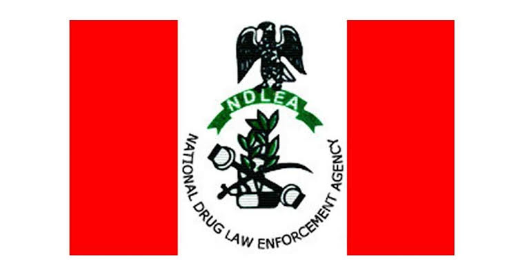 See Full List As NDLEA Releases Names Of Shortlisted Candidates For Interview