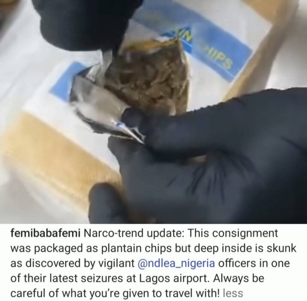 NDLEA intercepts skünk packaged as packs of plantain chips at Lagos airport